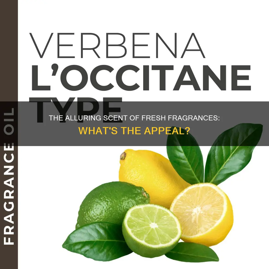 what is a fresh fragrance