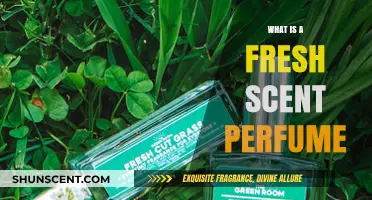 Discover the Essence: What Makes a Fresh Scent Perfume