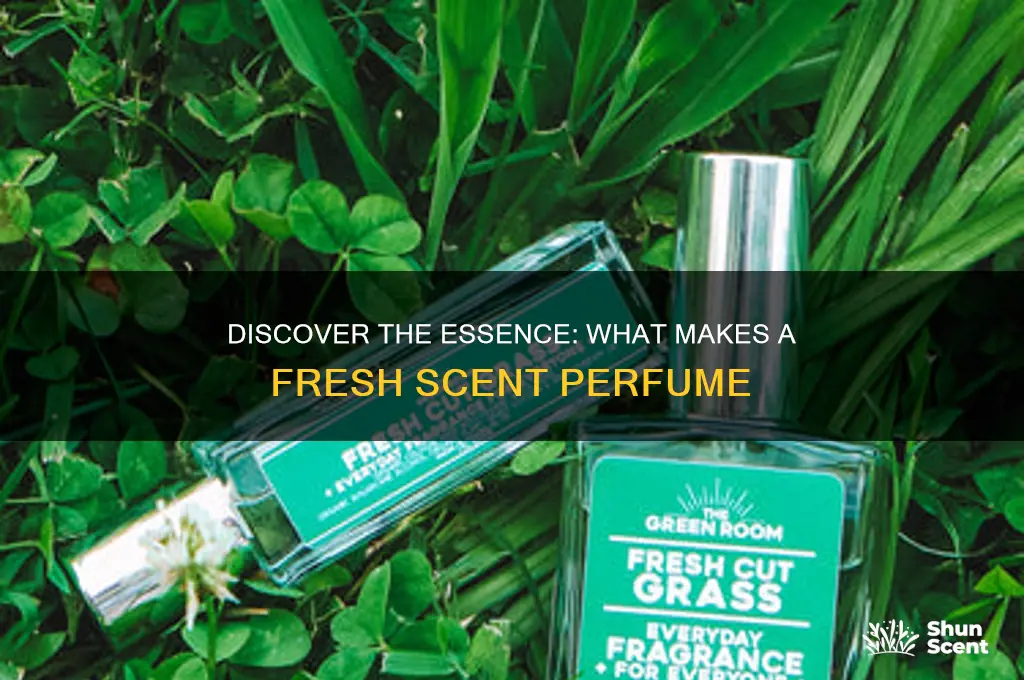 what is a fresh scent perfume
