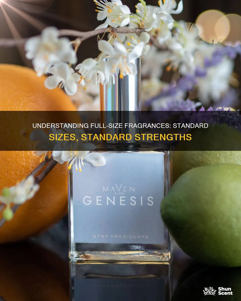 what is a full size fragrance