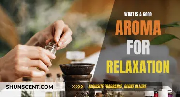 Aromas for Relaxation: Finding Your Calming Scent