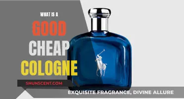 Affordable Scents: Finding Cheap but Good Colognes