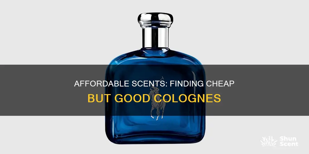 what is a good cheap cologne