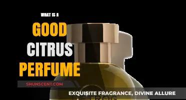 Discover the Best Citrus Perfumes for a Fresh, Vibrant Scent