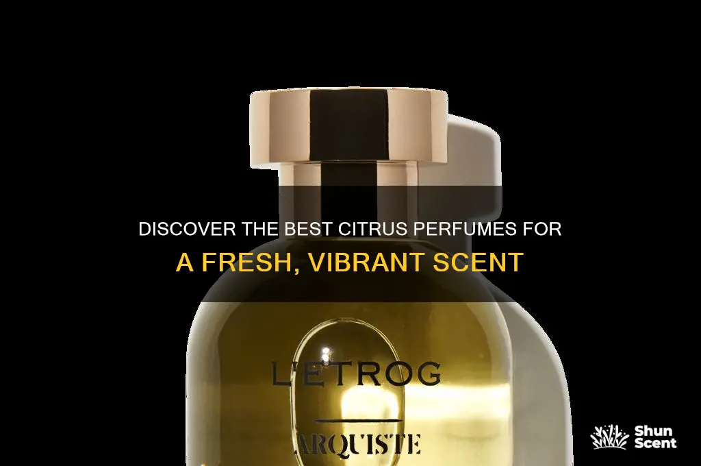 what is a good citrus perfume