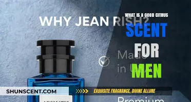 Fresh and Invigorating: The Best Citrus Scents for Men