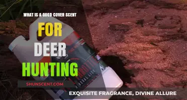 Effective Cover Scents for Deer Hunting: A Comprehensive Guide