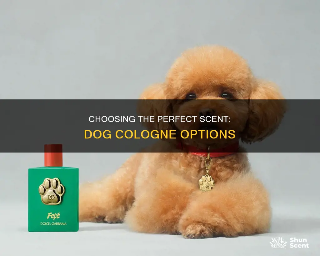 what is a good dog cologne