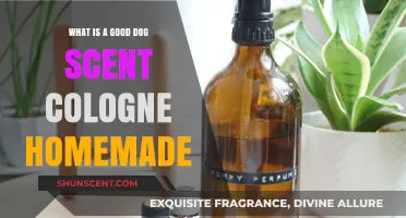 Crafting the Perfect Homemade Dog Scent Cologne: A Fragrant Guide