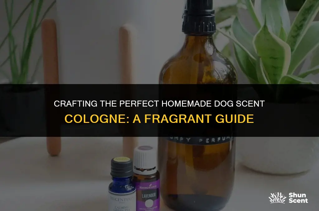 what is a good dog scent cologne homemade