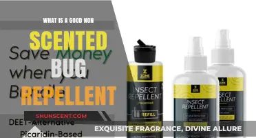 Effective Non-Scented Bug Repellents: A Comprehensive Guide