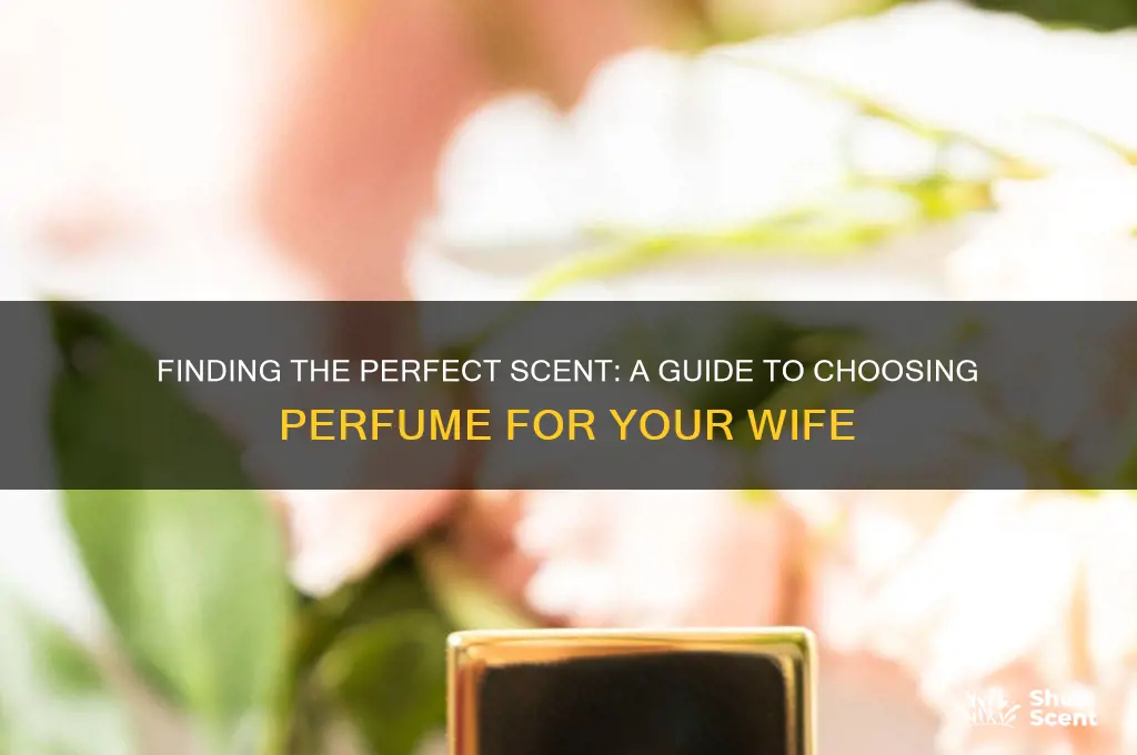 what is a good perfume for my wife