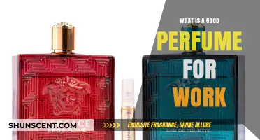 Professional Scents: Best Work-Appropriate Perfumes for a Fresh Office Vibe