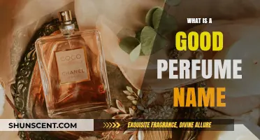 Crafting the Perfect Scent: Creative and Catchy Perfume Name Ideas