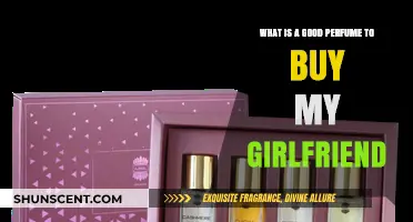 Best Perfumes to Gift Your Girlfriend