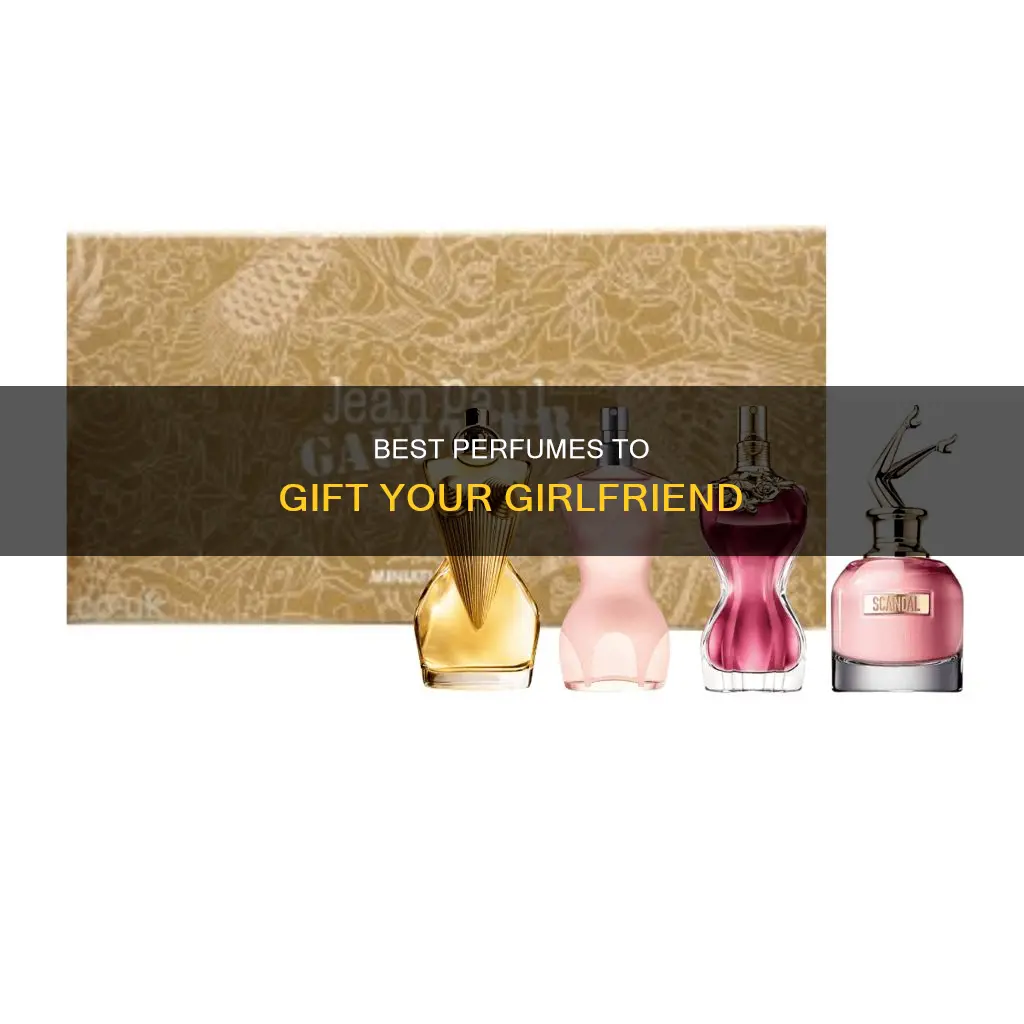 what is a good perfume to buy my girlfriend