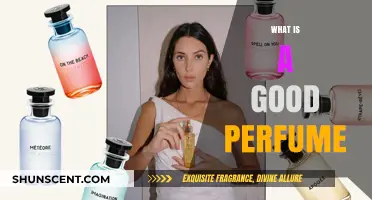 The Perfect Scent: Choosing a Great Perfume