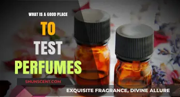 Discover the Perfect Spot to Test Perfumes: A Scent Lover's Guide