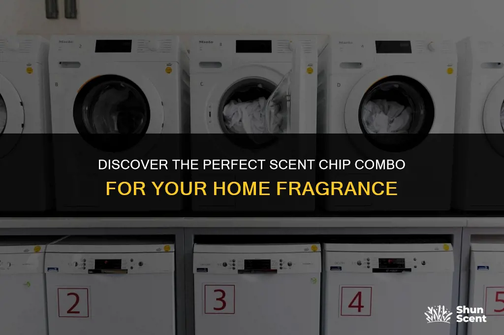 what is a good scent chip combination