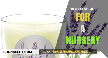 Soothing Scents for Nurseries: Creating a Calm and Comforting Environment