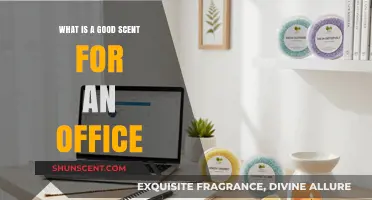 Elevate Your Workspace: The Ideal Office Scent for Productivity and Comfort