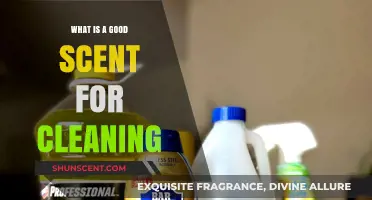 Freshen Up Your Space: The Best Scents for Effective Cleaning