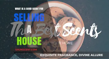 Discover the Perfect Scent to Boost Your Home's Appeal and Sell Faster