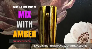 Blending Perfumes: Discover the Perfect Scent to Mix with Amber