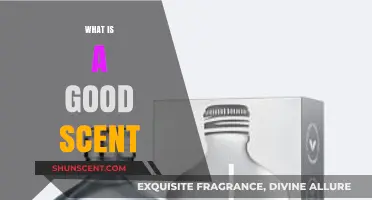 Exploring the Essence: What Makes a Scent Truly Good?