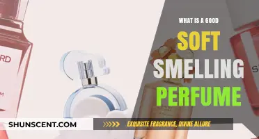 Soft Scents: Choosing the Right Perfume