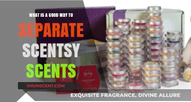 Effective Methods to Separate and Organize Your Scentsy Scents