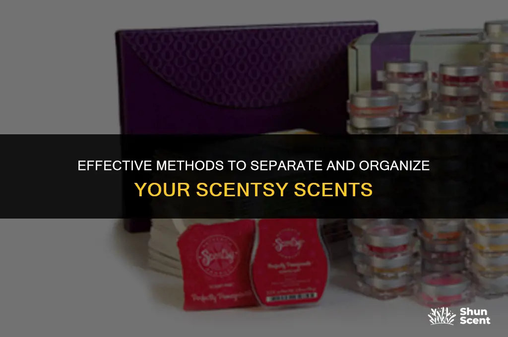 what is a good way to separate scentsy scents
