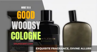 Woodsy Scents for Men: Finding Your Perfect Fragrance