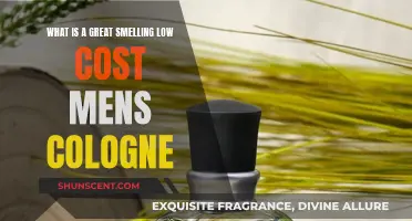 Affordable, Great-Smelling Men's Colognes: A Guide