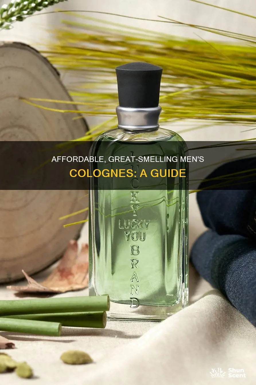 what is a great smelling low cost mens cologne