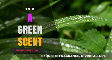 Unveiling the Essence of Nature: What Is a Green Scent?