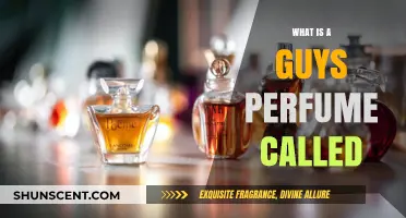 What is a Guys Perfume Called? Exploring Men's Fragrance Terminology