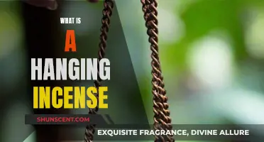 Explore Hanging Incense: Ancient Scents for Modern Times