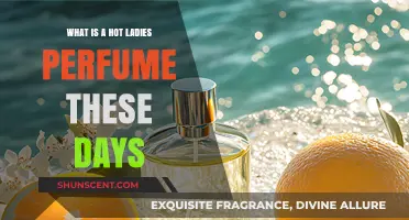 Trending Hot Ladies Perfumes: Top Picks for Modern Elegance