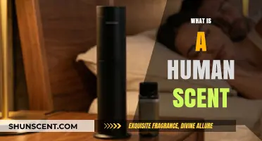 Unveiling the Mysteries of Human Scent: A Comprehensive Guide