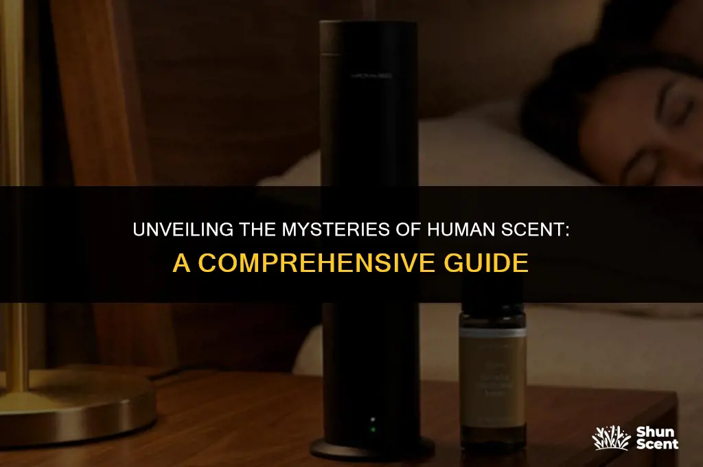 what is a human scent