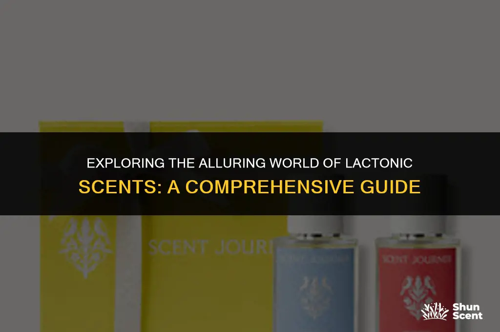 what is a lactonic scent