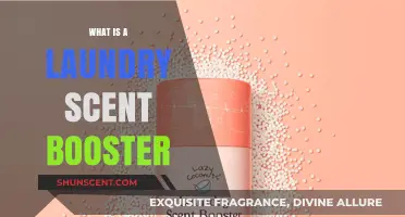 Freshen Up Your Laundry: The Power of Scent Boosters Explained
