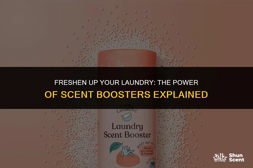 what is a laundry scent booster