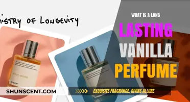 Discover the Best Long-Lasting Vanilla Perfumes for All-Day Scent