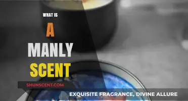 Exploring Masculinity: The Essence of Manly Scents