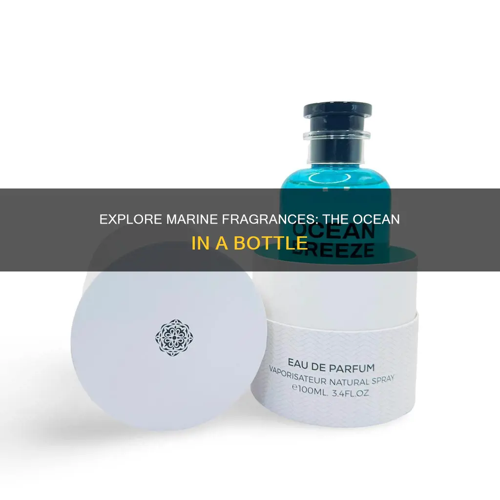 what is a marine fragrance