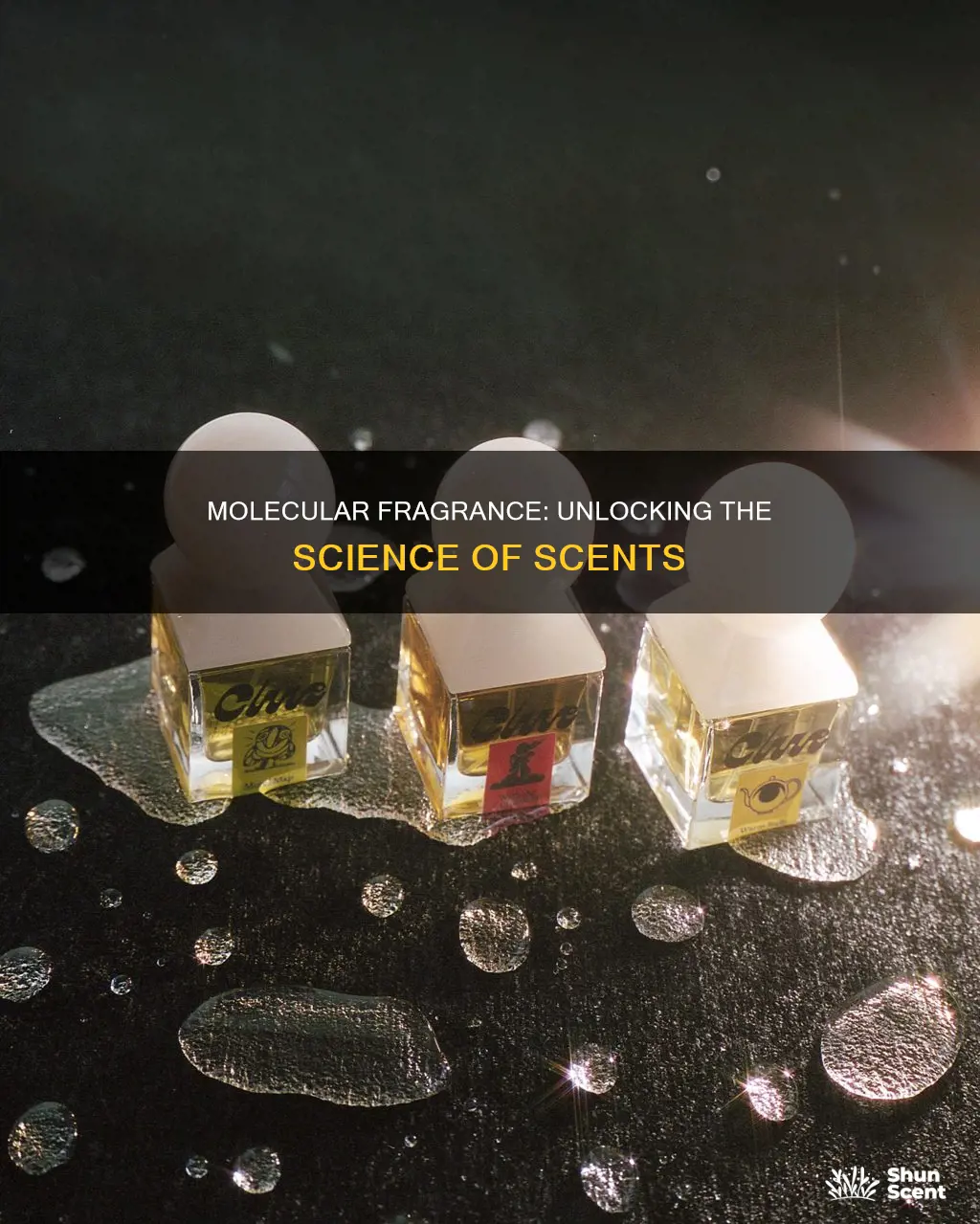 what is a molecular fragrance