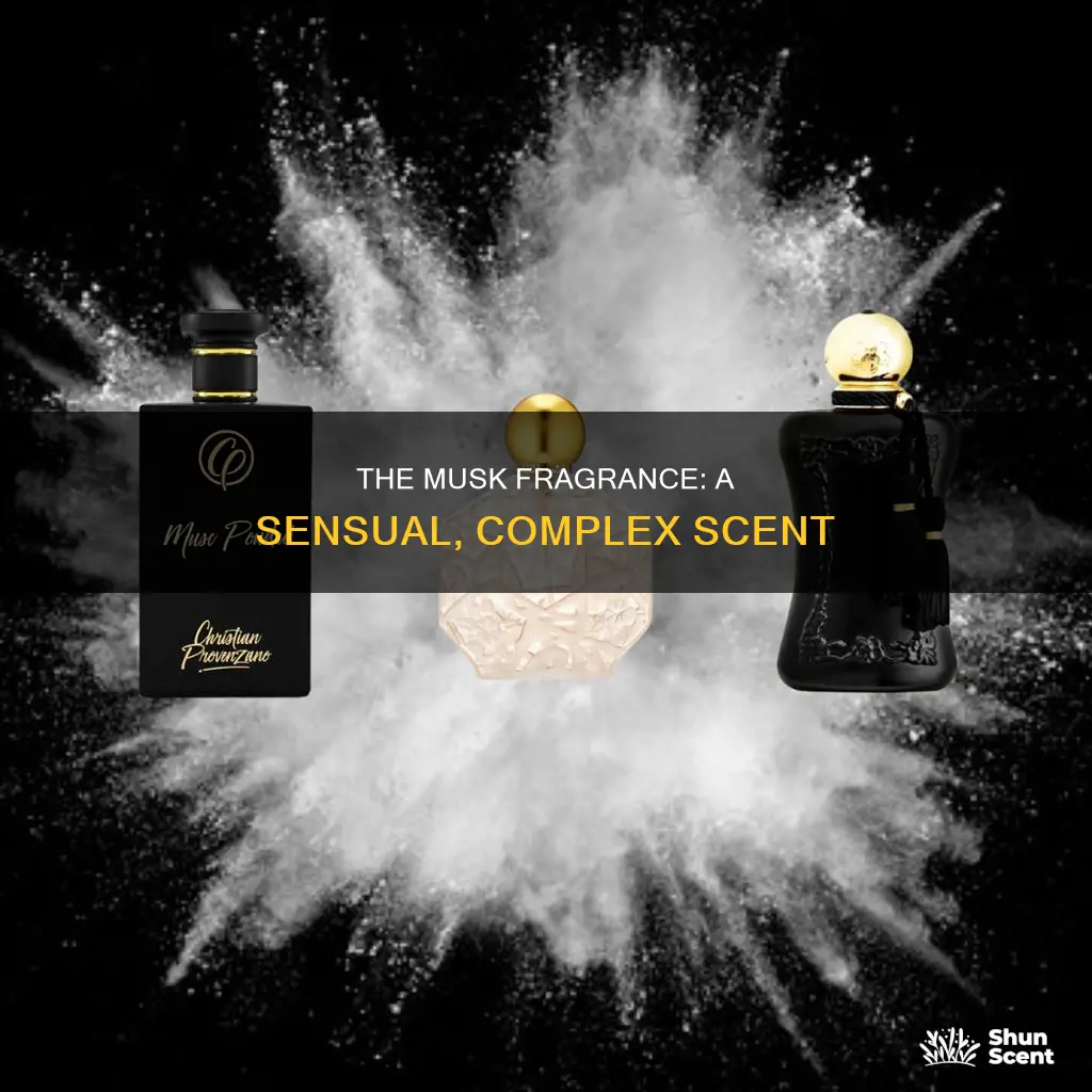 what is a musk fragrance