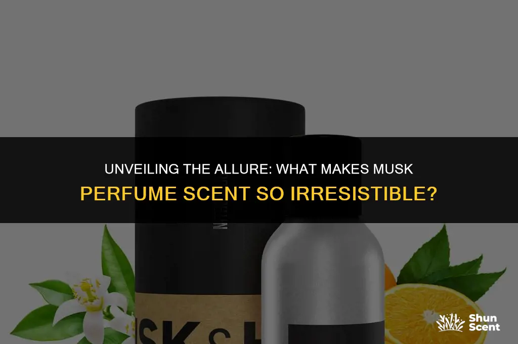 what is a musk perfume scent